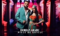Dorian Arabu - Piele de koniac