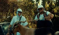 MACANACHE feat. Killa Fonic - Bani Multi