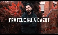 Vizante - Fratele nu a cazut, fratele a reusit!