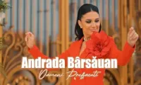 Andrada Barsauan - Oameni prefacuti