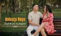 Anicuta Rosu - Cand te am in preajma mea