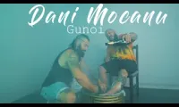 Dani Mocanu - GUNOI