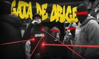 El Nino - Gata de orice