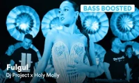 DJ Project x HolyMollyMusic - Fulgul