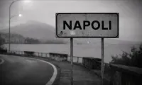 Dani Mocanu - Info de la Napoli
