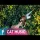 Bob x Narcisa x What's UP - PrimaVara