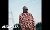 Alex Velea x Bvcovia - Din Vina Ta
