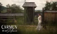 Carmen de la Salciua x Giulia Popovici x Lena Miclaus - Du-ma acasa vantule